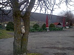 tó
