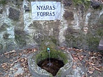 Forrás
