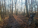 GCVEKE_20140116093538.jpg