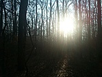 GCVEKE_20140116093604.jpg