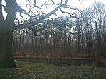 GCVEKE_20140116094228.jpg