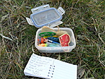 cache