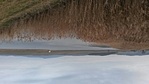 GCTO_20140218163028.jpg