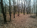 GCXVII_20140227155248.jpg