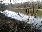 Madárles Natura 2000