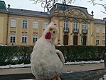 Tyiptyip