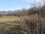 Gubacsi puszta