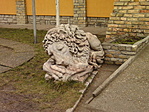 Oroszlán