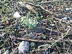 GCERBA_20140216110310.jpg