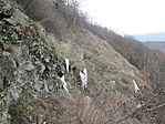 Jégcsapok
