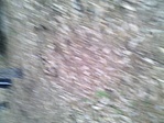 GCange_20140216140110.jpg