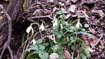 2014-02-23 14.35.25