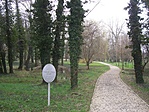 Kiserdei-park (5)