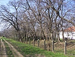 Csillagvár (3)