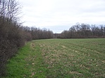 Rét (3)