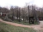 Vadaspark részlet