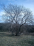 Rejtek