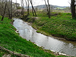 Zala