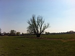 Esetleges1