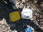 GCFBOR_20140330120514.jpg