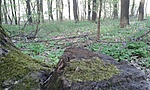 GCHRSN_2014042153149.jpg