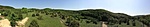 Pano