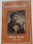 Híres szülöttek: Sárdy János