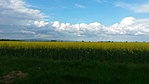 GCVAKB_20140420161201.jpg