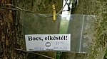 BOCSI!!