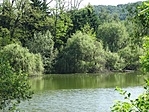 kép1