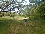 GCKSzd_20140510150845.jpg