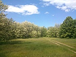 GCKSzd_20140510150933.jpg