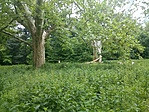 GCCDKP_20140511140631.jpg