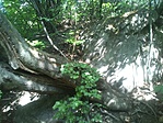GCDC_2014052112425.jpg