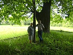 Szondi kopjafa