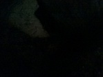 GCRARO_2014051174110.jpg
