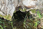 Közelebbről