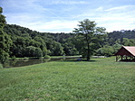 Központ