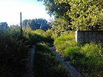GCKUKE_2014066182806.jpg