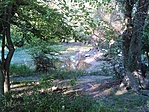 GCKUKE_2014066182844.jpg