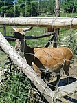 GCKOVA_2014069103620.jpg