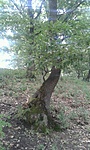 GCPANO_20140621121654.jpg