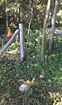 GCNypk_20140621084400.jpg