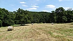 közel