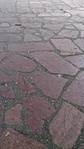 GCTAVA_20140710160144.jpg