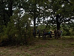 Pihenő
