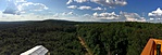 Panoráma