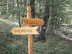 Virtuális tábla
