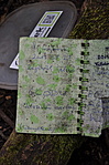 Penészes logbook
