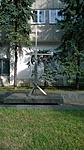 A műszer
